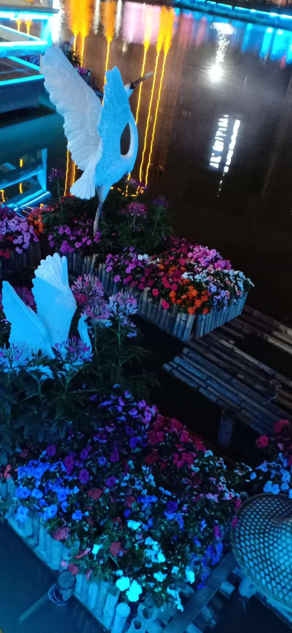 脑洞小老弟无实名认证